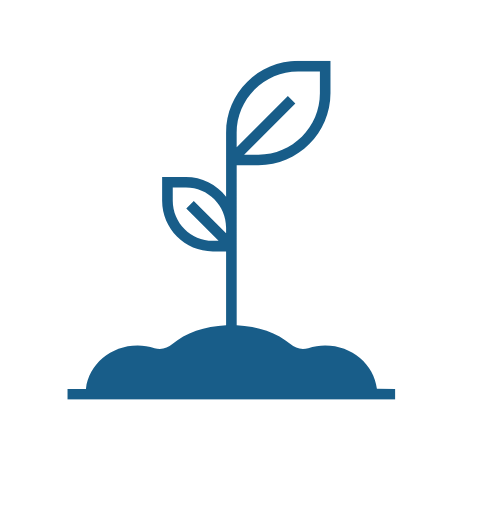 Values Icon - Plant - Convergent Experience